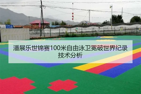 潘展乐世锦赛100米自由泳卫冕破世界纪录技术分析