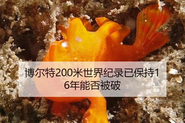 博尔特200米世界纪录已保持16年能否被破
