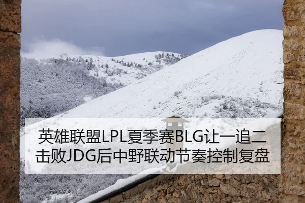 英雄联盟LPL夏季赛BLG让一追二击败JDG后中野联动节奏控制复盘